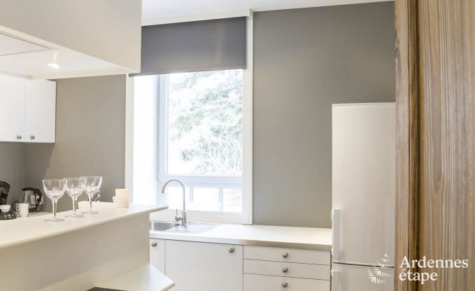 Ferienhaus Dinant 8 Pers. Ardennen Wellness