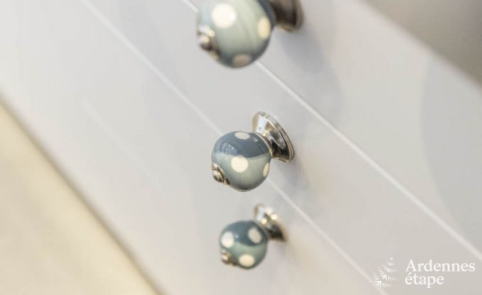 Ferienhaus Dinant 8 Pers. Ardennen Wellness