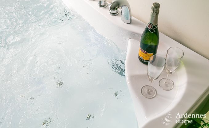 Ferienhaus Dinant 6 Pers. Ardennen Wellness