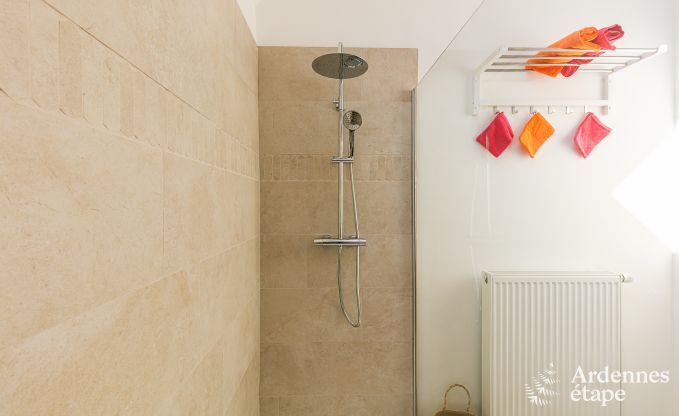 Ferienhaus Dinant 6 Pers. Ardennen Wellness