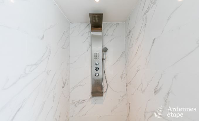 Ferienhaus Dinant 6 Pers. Ardennen Wellness