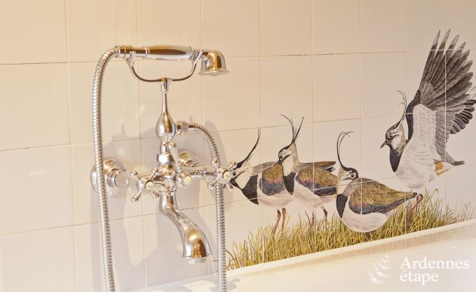 Ferienhaus Dinant 14 Pers. Ardennen Schwimmbad