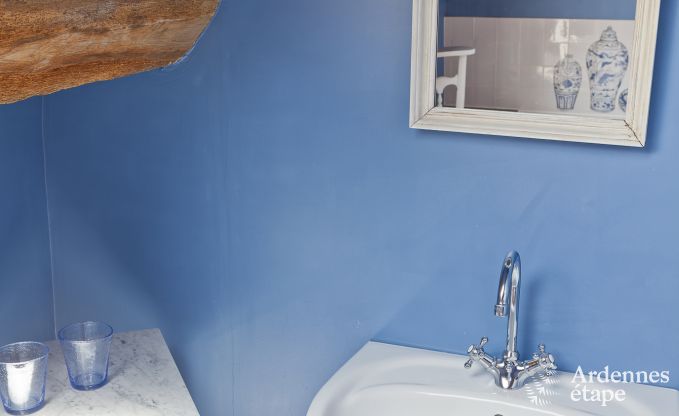 Ferienhaus Dinant 12 Pers. Ardennen Schwimmbad