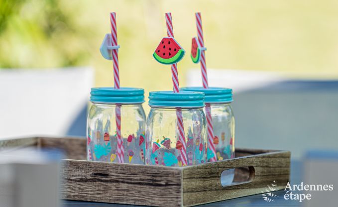 Ferienhaus Dinant 8/9 Pers. Ardennen Schwimmbad