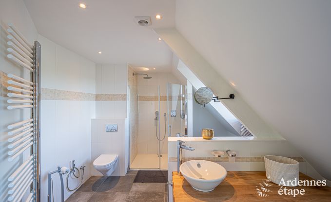 Ferienhaus Dinant 8/9 Pers. Ardennen Schwimmbad