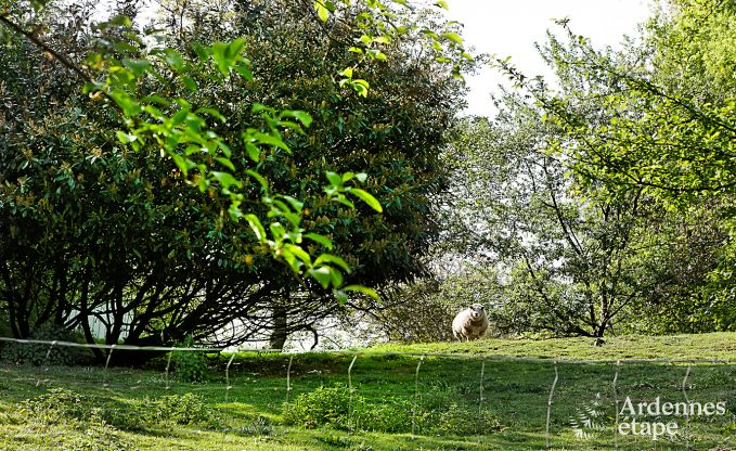 Luxusvilla Dinant 8/9 Pers. Ardennen