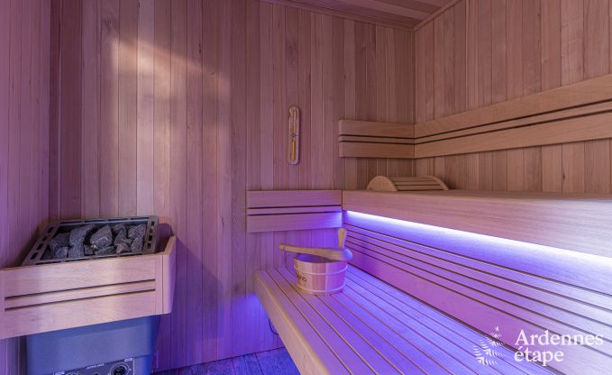 Luxusvilla Dinant 12 Pers. Ardennen Wellness