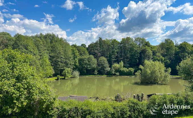 Luxusvilla Dinant 12 Pers. Ardennen Wellness
