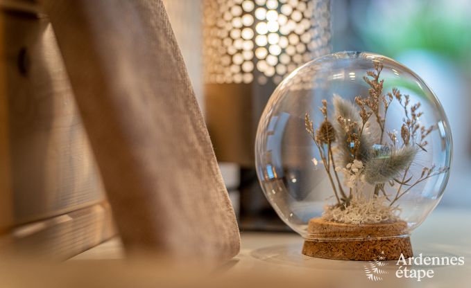 au�ergew�hnliche Ferienwohnung Dinant 2/3 Pers. Ardennen Wellness