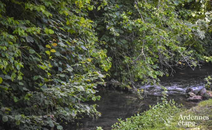 Ferienhaus Dinant 4 Pers. Ardennen