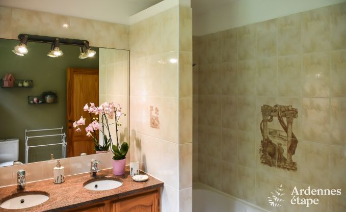 Ferienhaus Dinant 4 Pers. Ardennen