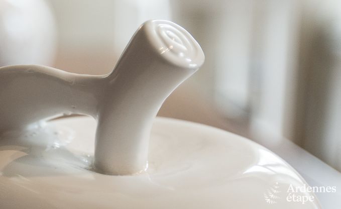 Ferienhaus Dinant 6 Pers. Ardennen