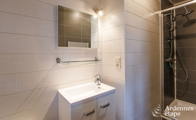 Ferienhaus Dinant 6 Pers. Ardennen