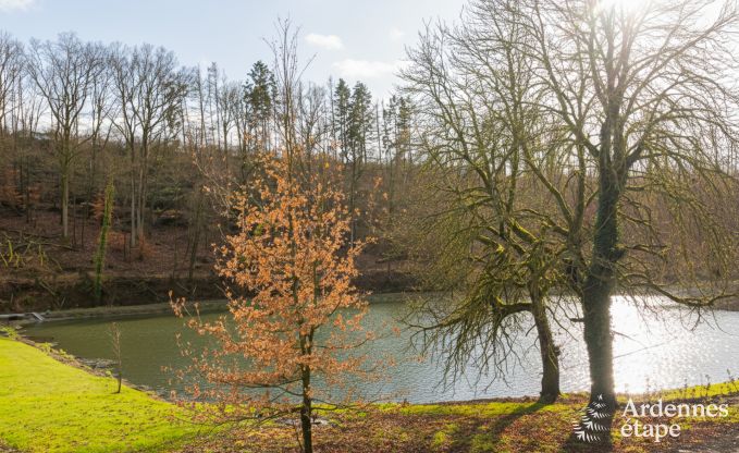 Ferienhaus Dinant 15 Pers. Ardennen Wellness