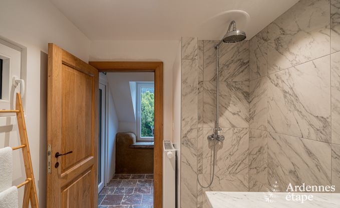 Ferienhaus Dinant 15 Pers. Ardennen Wellness