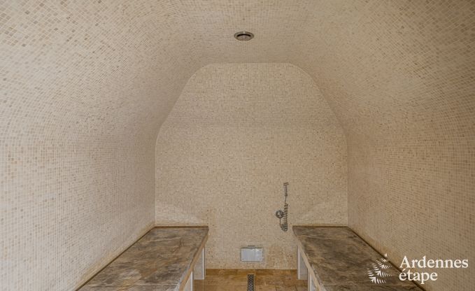 Ferienhaus Dinant 15 Pers. Ardennen Wellness