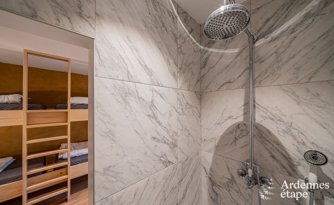 Ferienhaus Dinant 15 Pers. Ardennen Wellness