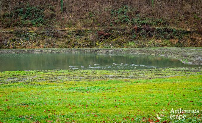 Ferienhaus Dinant 15 Pers. Ardennen Wellness