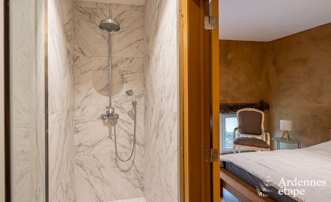 Ferienhaus Dinant 15 Pers. Ardennen Wellness