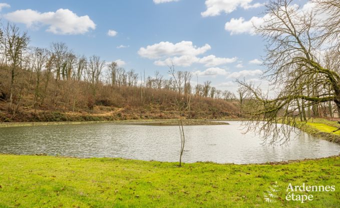 Ferienhaus Dinant 15 Pers. Ardennen Wellness