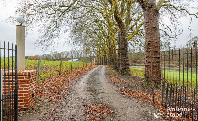 Ferienhaus Dinant 15 Pers. Ardennen Wellness