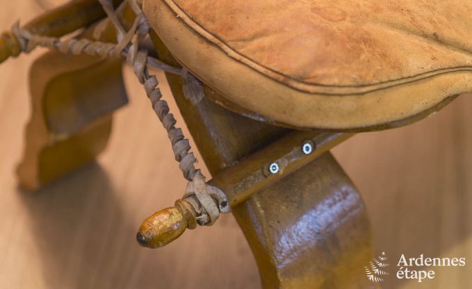 Ferienhaus Dinant 8 Pers. Ardennen Wellness