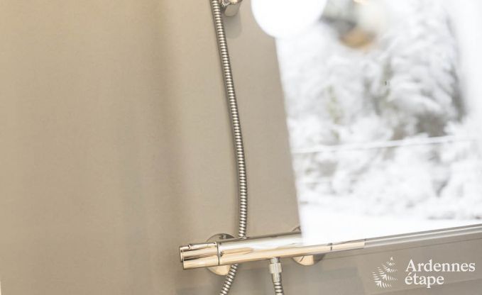 Ferienhaus Dinant 8 Pers. Ardennen Wellness