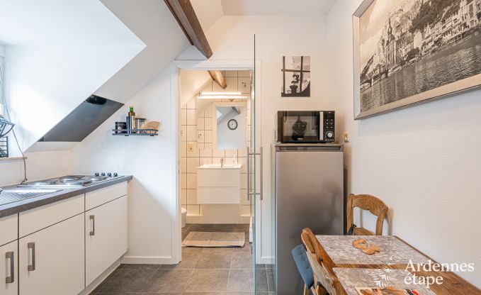 Wohnung Dinant 6 Pers. Ardennen