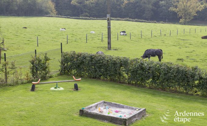 Ferienhaus Doische (Dinant) 8 Pers. Ardennen