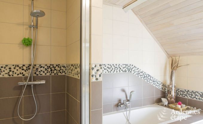 Ferienhaus Doische (Dinant) 8 Pers. Ardennen Wellness