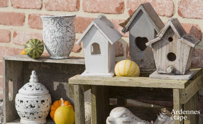 Ferienhaus Doische (Dinant) 8 Pers. Ardennen Wellness