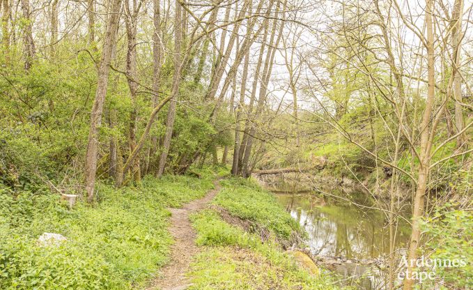 Chalet Doische 2/3 Pers. Ardennen