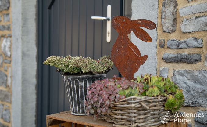 Ferienhaus Doische 9 Pers. Ardennen