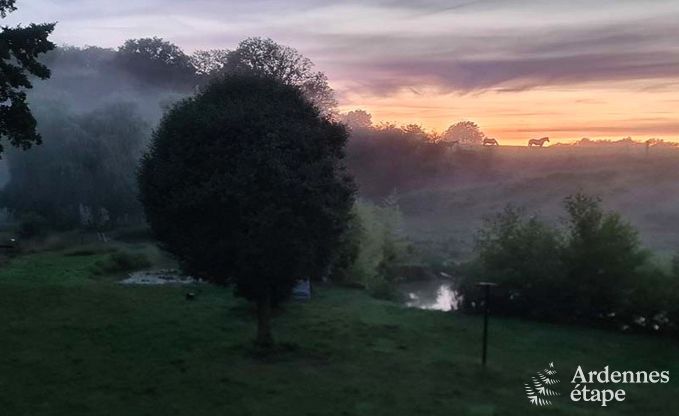 Ferienhaus Doische 9 Pers. Ardennen