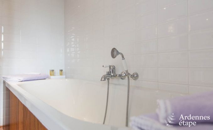 Luxusvilla f�r 8 Personen in Doische: Infrarotkabine, Jacuzzi, Kassettenkamin, Teich und privater Garten