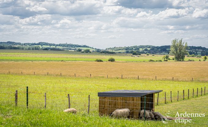 au�ergew�hnliche Ferienwohnung Doische 2/4 Pers. Ardennen