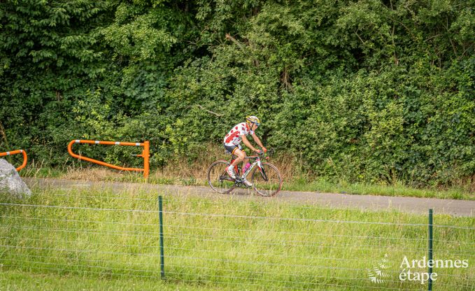 au�ergew�hnliche Ferienwohnung Doische 2/4 Pers. Ardennen