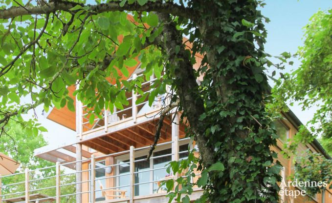 Ferienhaus Doische 4/6 Pers. Ardennen