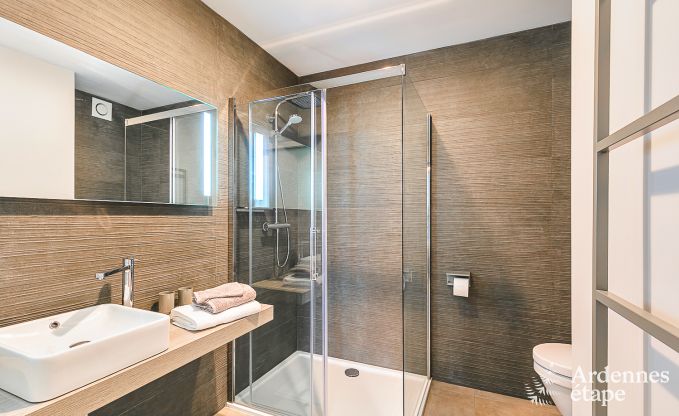 Ferienhaus in Doische: komfortabler Aufenthalt f�r 19 Personen mit Spielzimmer, privatem Garten und in der N�he von Dinant