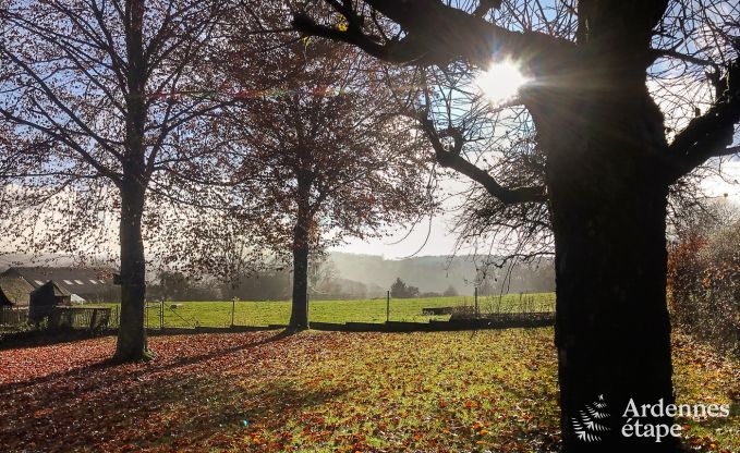 Ferienhaus Doische 16/18 Pers. Ardennen