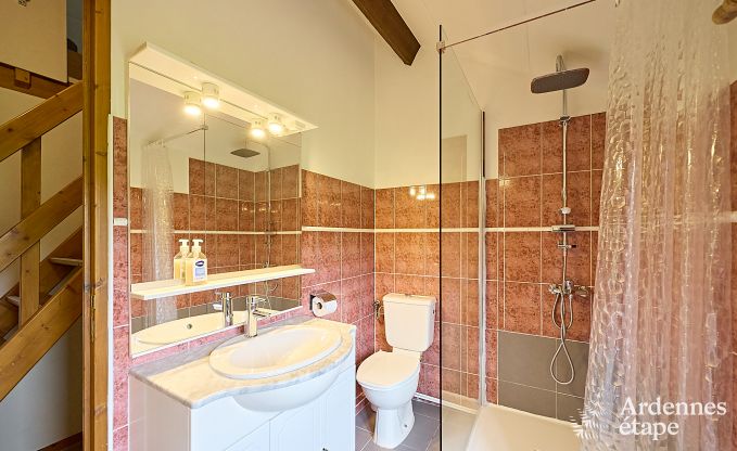 Ferienhaus Doische 9 Pers. Ardennen