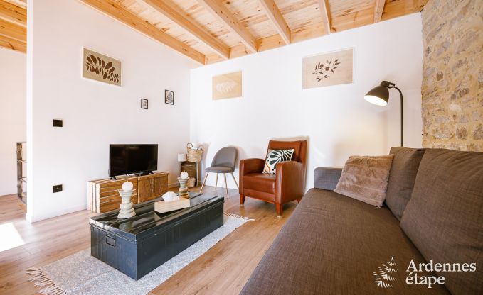 Ferienhaus Doische 6/8 Pers. Ardennen Schwimmbad