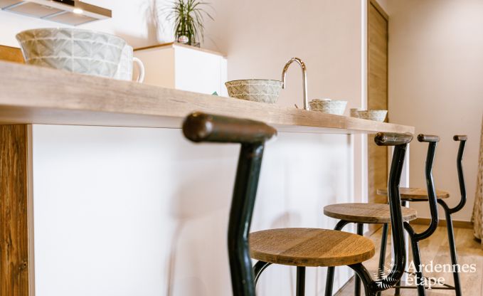 Ferienhaus Doische 6/8 Pers. Ardennen Schwimmbad