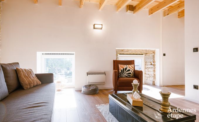 Ferienhaus Doische 6/8 Pers. Ardennen Schwimmbad