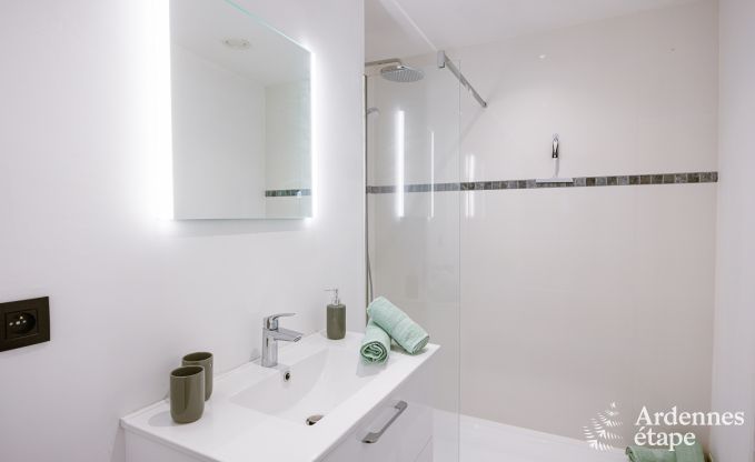 Ferienhaus Doische 6/8 Pers. Ardennen Schwimmbad