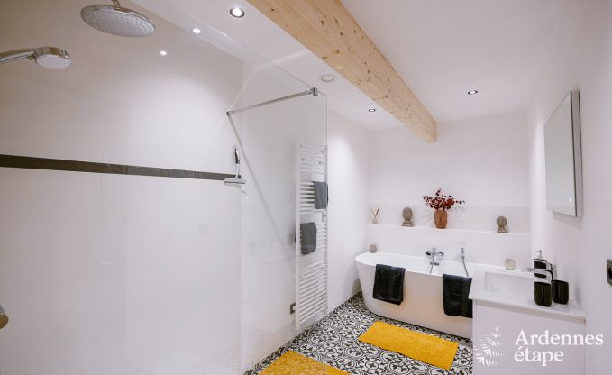 Ferienhaus Doische 6/8 Pers. Ardennen Schwimmbad