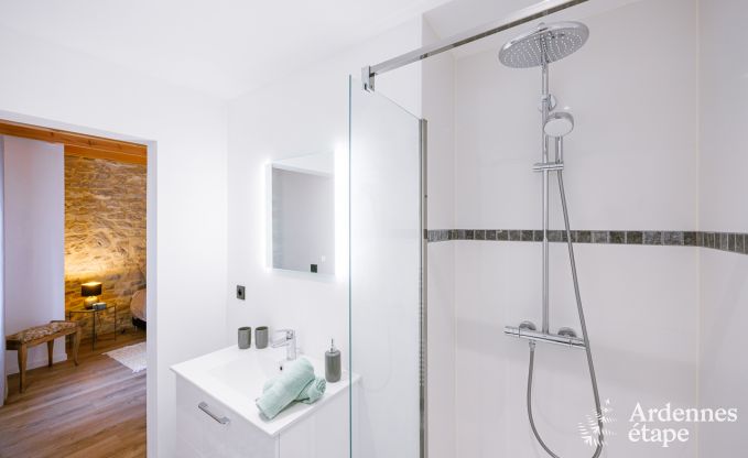 Ferienhaus Doische 6/8 Pers. Ardennen Schwimmbad