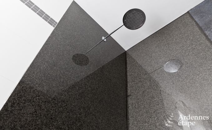 Luxusvilla Durbuy (Heyd) 24 Pers. Ardennen Schwimmbad