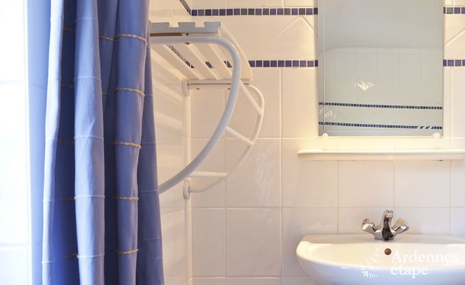 Luxusvilla Durbuy (Heyd) 12 Pers. Ardennen Wellness