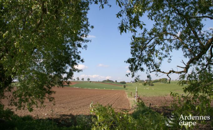 Ferienhaus Durbuy (M�an) 18 Pers. Ardennen